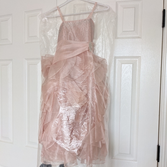 Ruffled flower girl dress - blush with sequins - Picture 5 of 7